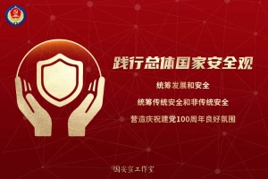 1-21041509593S08
